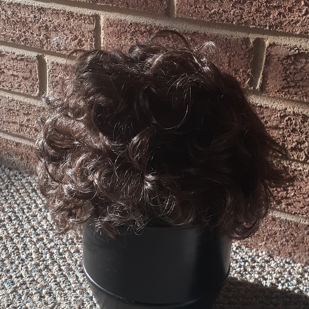 Paula Young Synthetic Wig
